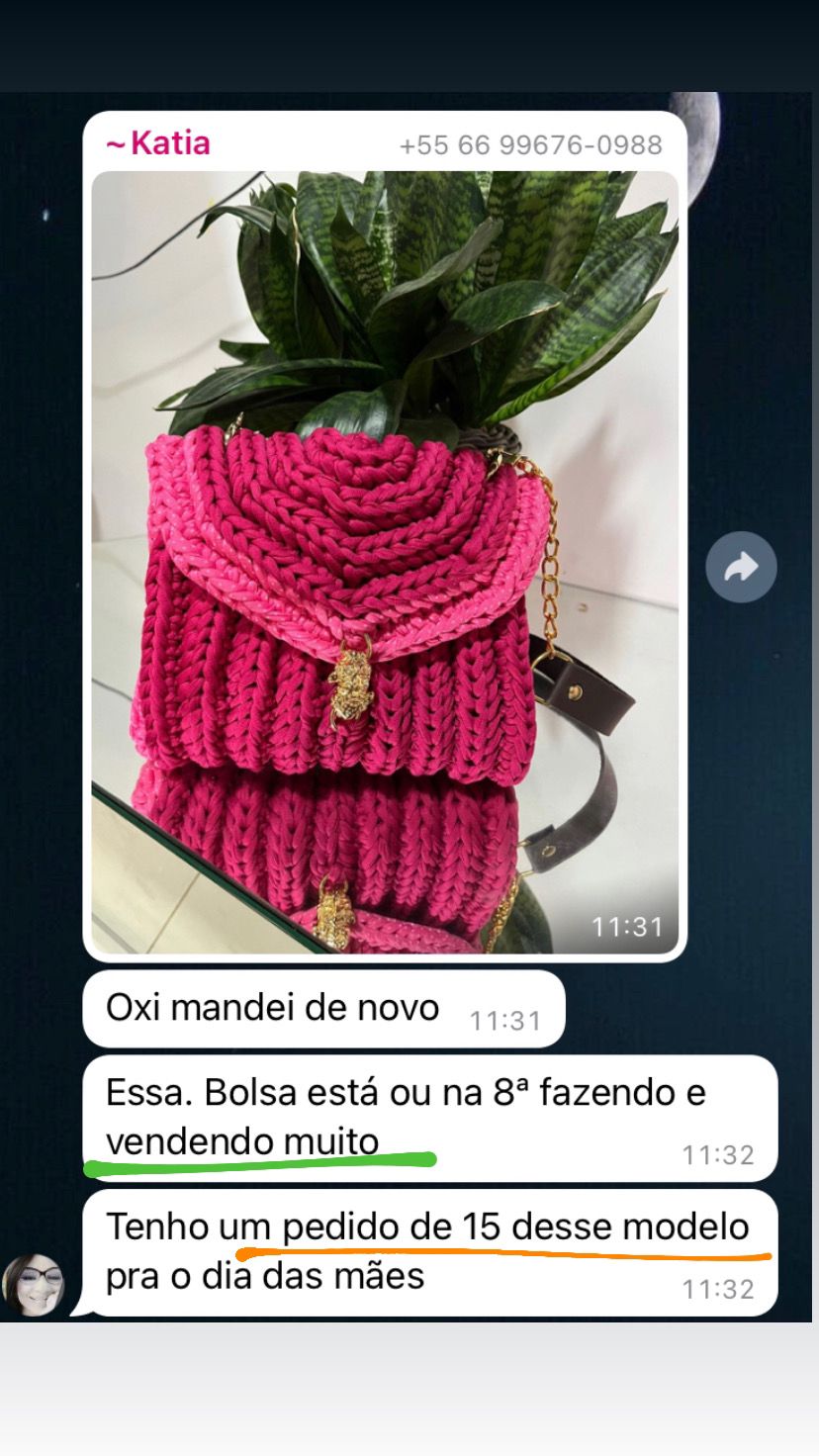 Imagem do WhatsApp de 2024-10-16 à(s) 18.31.39_46456d91